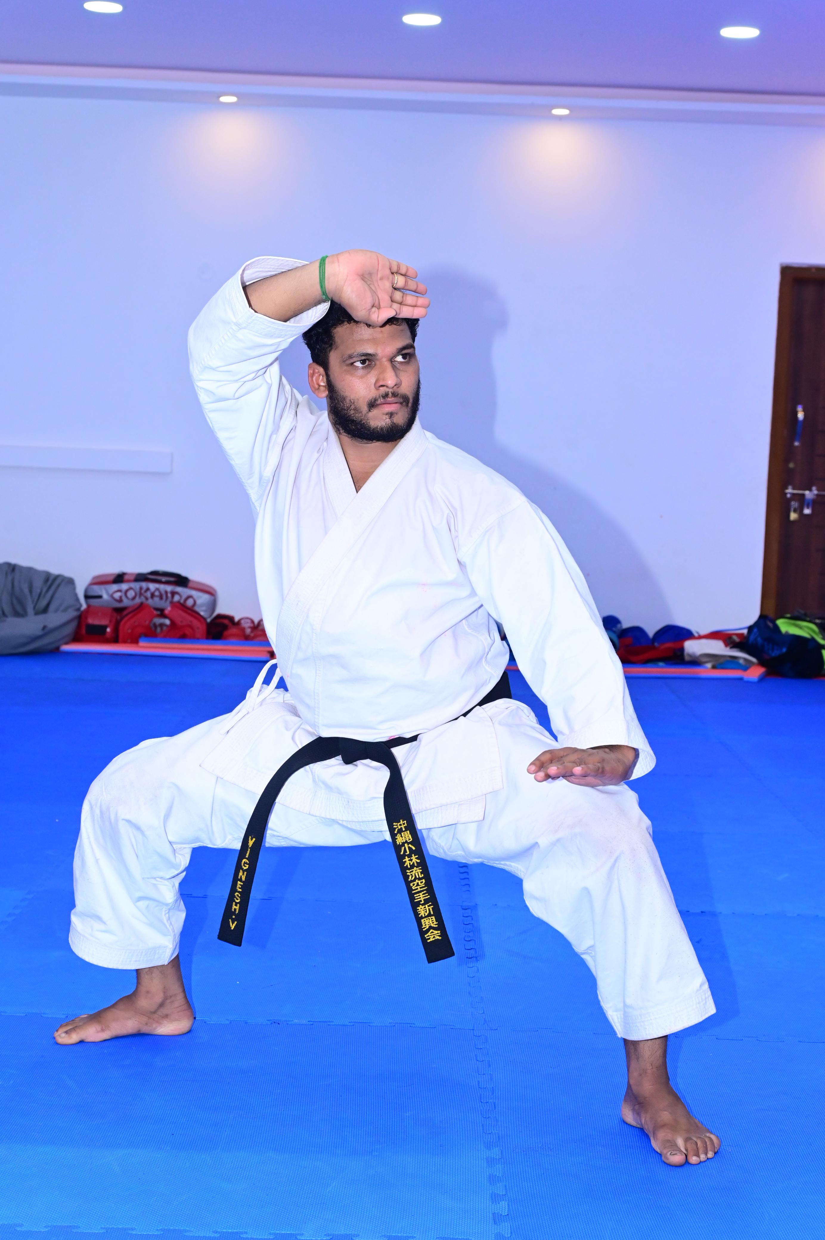 Sensei Vignesh V